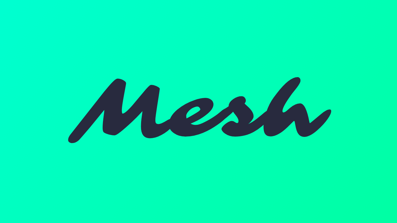 Mesh Visual